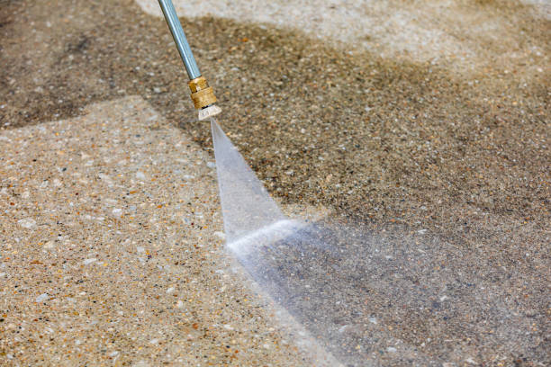 Best Roof Washing  in Wortham, TX