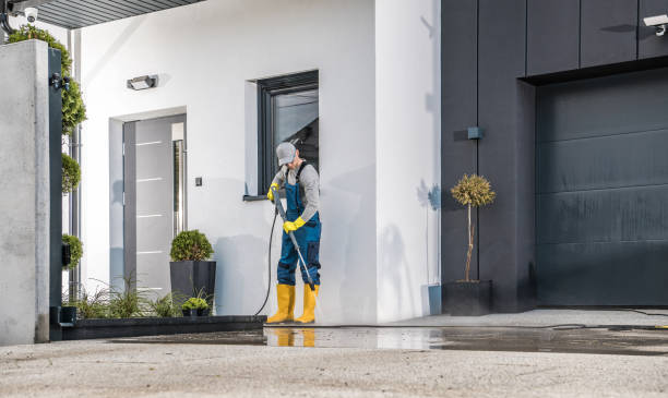 Best House Exterior Washing  in Wortham, TX